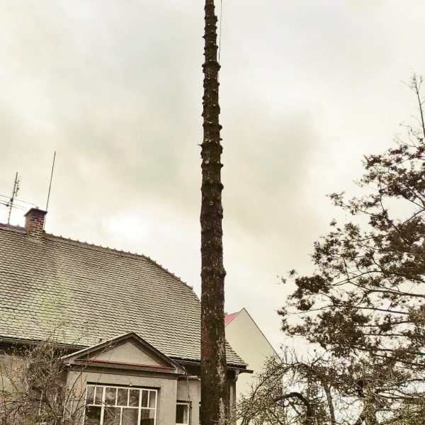 412332470_1577043743054517_5876932301445166948_n