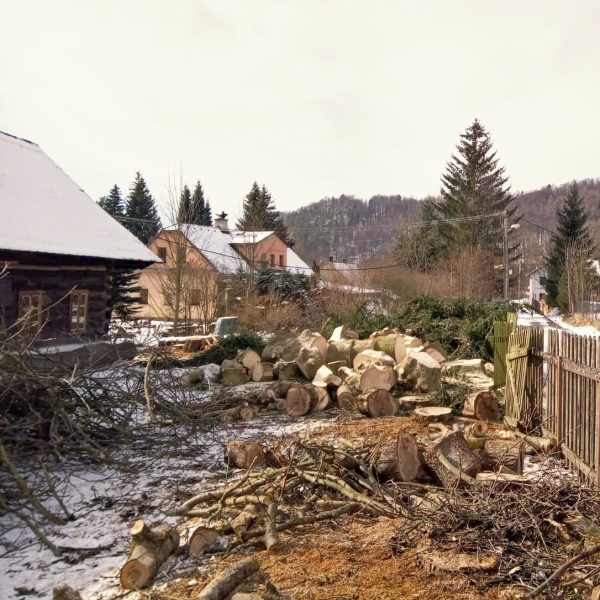 Zpracování pokáceného stromu