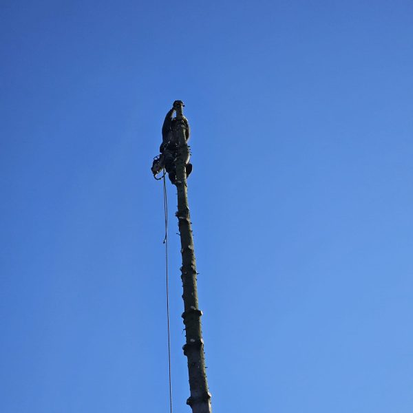 WhatsApp Image 2024-01-11 at 07.36.07_897d7b49