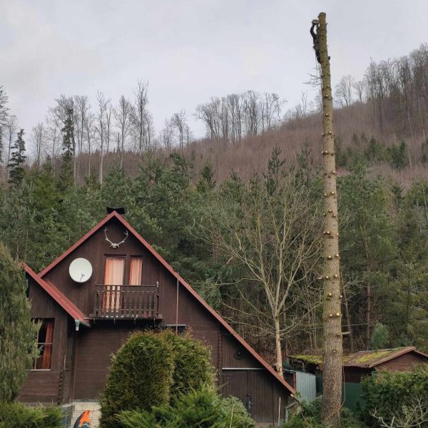 WhatsApp Image 2024-02-06 at 16.17.16_2d892865