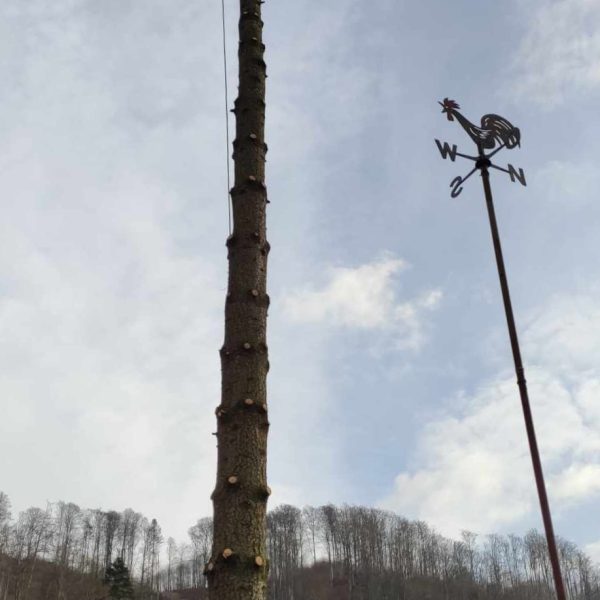 WhatsApp Image 2024-02-06 at 16.18.10_6518a2c7